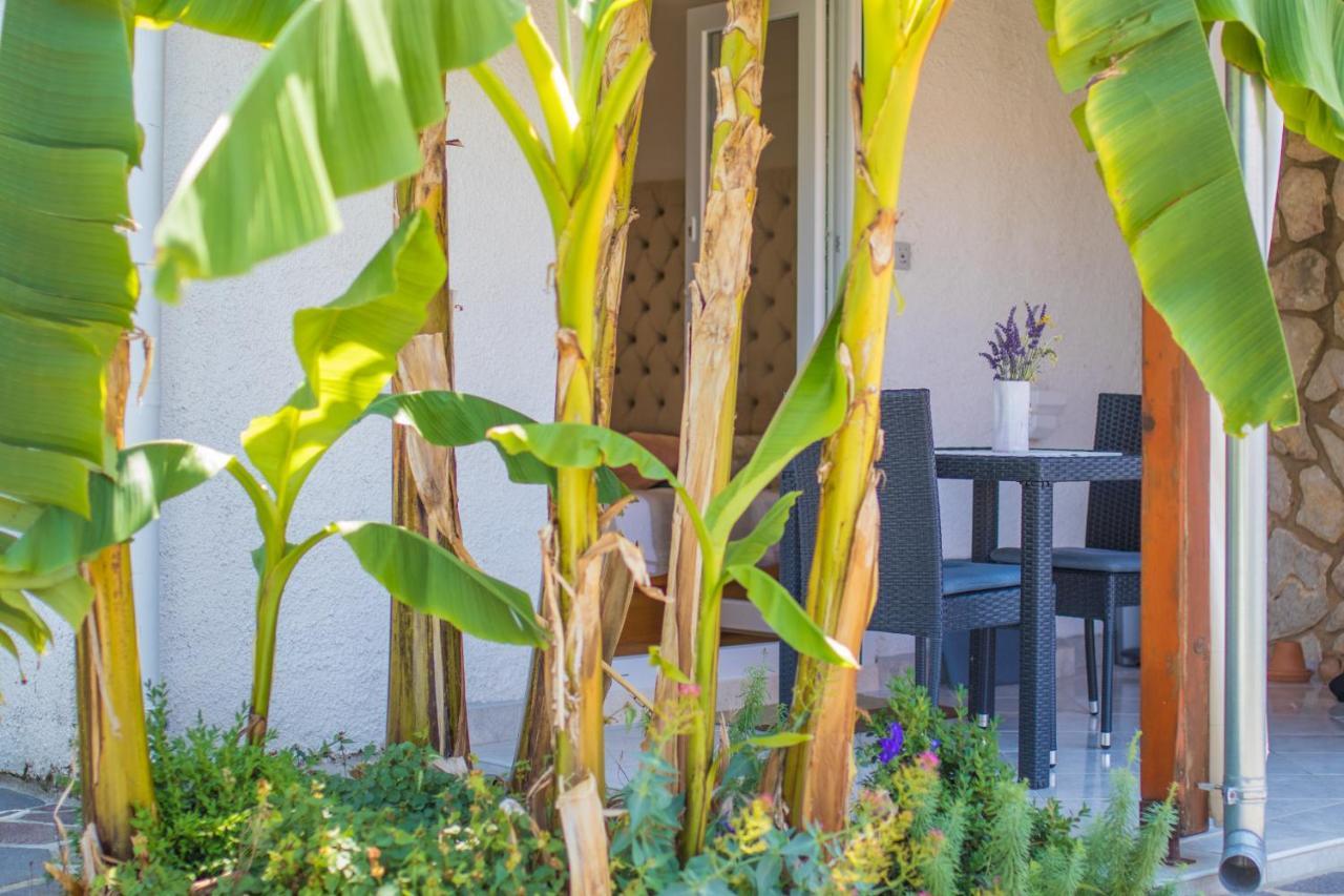 Apartmani Villa Kalinic نجيفيش المظهر الخارجي الصورة